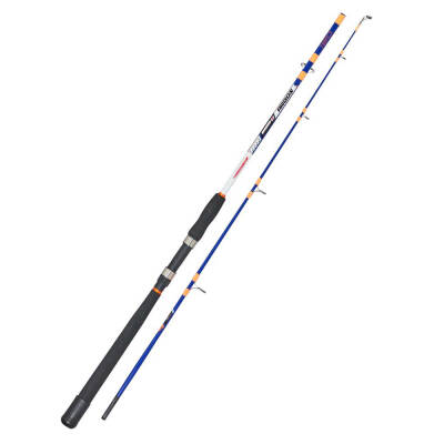 Kali Kunnan Argos Olta Kamışı - 1