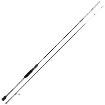 Kali Kunnan Tataki Egi Spin Olta Kamışı - 1
