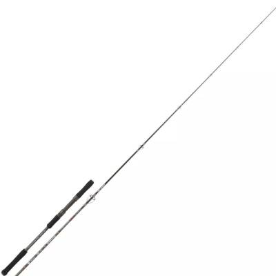 Kali Kunnan Tritonis Jig Olta Kamışı - 1