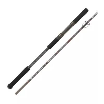 Kali Kunnan Tritonis Jig Olta Kamışı - 2