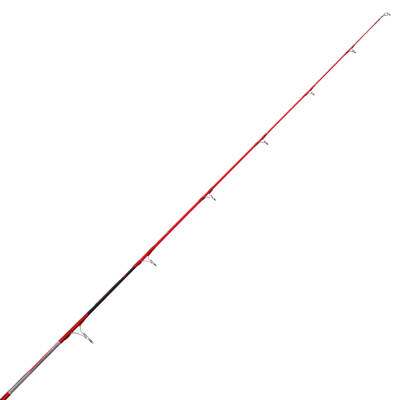 Kali Kunnan Valentia Olta Kamışı - 3