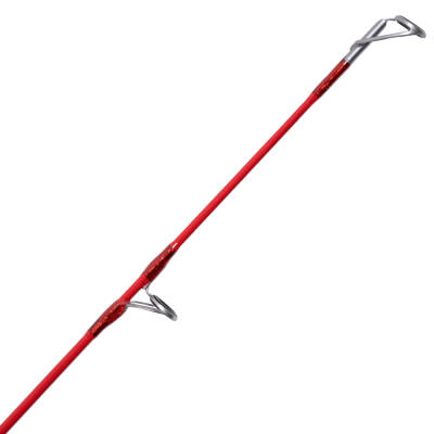 Kali Kunnan Valentia Olta Kamışı - 4