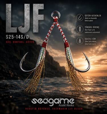 LIGHT JIGGING FLASH LJF DOUBLE 4P #9 - 4