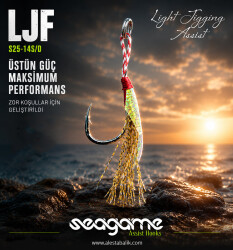 LIGHT JIGGING FLASH LJF SINGLE 4P #11 - 3
