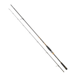 MORETHAN BRANZINO EXPERT AGS 2.51M 7-28GR 2P KAMIŞ - Daiwa
