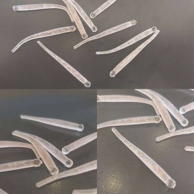 Mutant 3512 Escapee 5cm Aromalı LRF Silikon Suni Yem 10lu Paket - 3