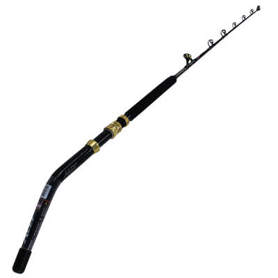 Penn Ally Boat Olta Kamışı - 2