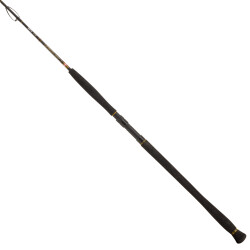 Penn Legion Cat Gold Vertical Olta Kamışı - 3