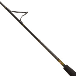 Penn Legion Cat Gold Vertical Olta Kamışı - 5