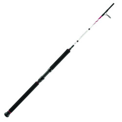 Penn Squadron II Jig Olta Kamışı - 1
