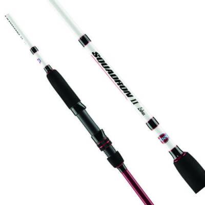 Penn Squadron II Labrax Olta Kamışı - 2