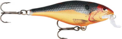 Rapala Shallow Shad Rap Sahte Balığı - 632