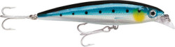 Rapala X-Rap Saltwater Sahte Balığı - 584