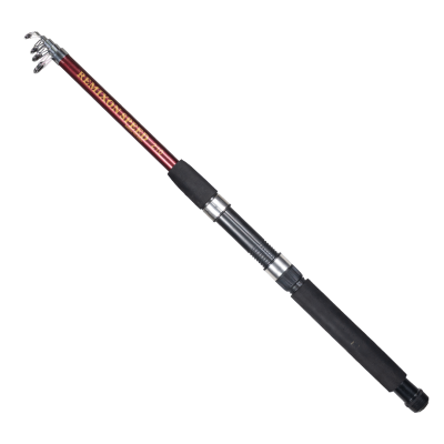 REMIXON SPEED 2.70M 10-30GR TELE KAMIŞ - 2