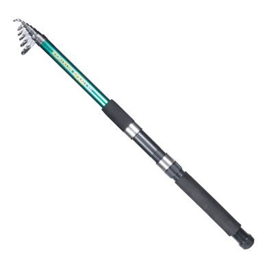 REMIXON SPEED 2.70M 10-30GR TELE KAMIŞ - 5
