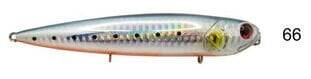 River Seabass Bullet 125 12.5Cm 23G Popper Maket Balık - 6