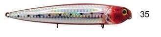 River Seabass Bullet 125 12.5Cm 23G Popper Maket Balık - 4