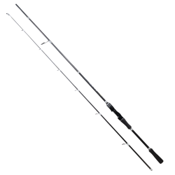RYUJI AERO 2.10M 4-35GR 2P SPIN KAMIŞ - 1