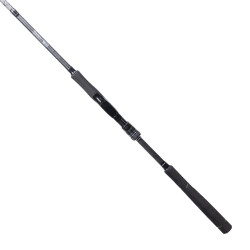 RYUJI ARES X 2.40M 9-45GR, 2P SPIN KARBON KAMIŞ - 2