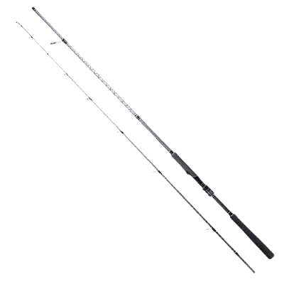 Ryuji Ares X 2.40M 9-45Gr&Shimano FX 4000 FC Spin Seti - 3