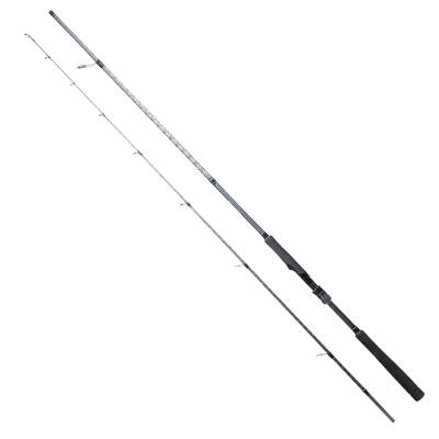 RYUJI ARES X 2.70M 9-45GR, 2P SPIN KARBON KAMIŞ - 1