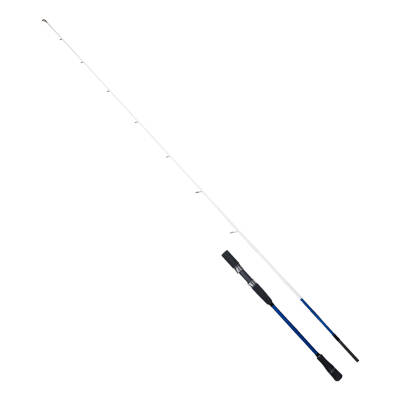 RYUJI BIG GAME FUJI SP 2.03M 60-140GR 2P JIG KAMIŞ - 1