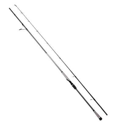 Ryuji Matrix Fuji 2.80M 25-80 Gr&Daiwa BG 27 SW 6000 H Profesyonel Shore Jig Seti - 3