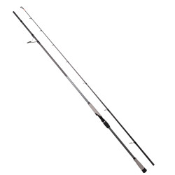 RYUJI MATRIX FUJI 3.00M 30-100 GR 2P SHORE JIG KAMIŞ - Ryuji