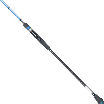 RYUJI SEAHUNTER SP 2.06M 80-300GR 2P JIG KAMIŞ - 2