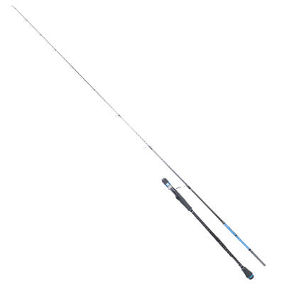 RYUJI SEAHUNTER SP 2.06M 80-300GR 2P JIG KAMIŞ - 1