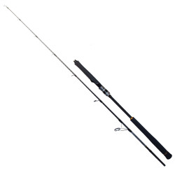 Ryuji Seawolf 1.68m 150-250gr 2P Jig Olta Kamışı - Ryuji