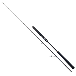Ryuji Seawolf 1.68m 150-250gr&Okuma Ceymar C-6000A Dark Grey 7+1BB Tekne Seti - 3