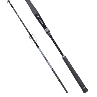 RYUJI SEAWOLF PLUS FUJI 1.98M 30-150GR 2P JIG KAMIŞ - 2