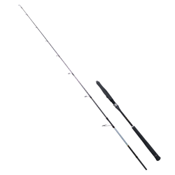 RYUJI SEAWOLF PLUS FUJI 1.98M 30-150GR 2P JIG KAMIŞ - 1