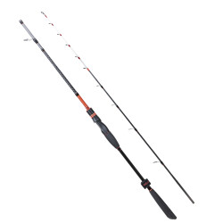 RYUJI SPECTRA SP 1.85M 50-300GR 2P BOT KAMIŞI - Ryuji