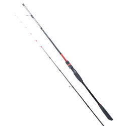 RYUJI SPECTRA SP 1.98M 70-300GR 2P BOT KAMIŞI - Ryuji
