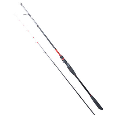RYUJI SPECTRA SP 1.98M 70-300GR 2P BOT KAMIŞI - 1