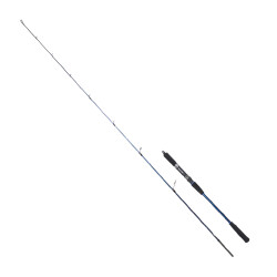 RYUJI STROBE SP 1.98M 20-80GR 2P JIG KAMIŞ - 1