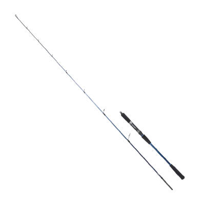 RYUJI STROBE SP 1.98M 20-80GR 2P JIG KAMIŞ - 1