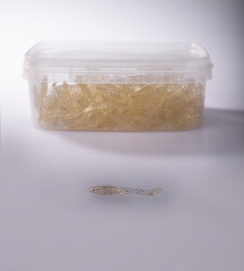 SASI KLASIK 35 250P SARI SİMLİ - YERLİ