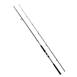 Shimano Bassterra XT 289 Cm 20-80 Gr Shore Jig Kamışı - 1