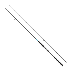 Shimano Bassterra XT 289 Cm 20-80 Gr&Daiwa Caldia 25 LT 4000 CXH Profesyonel Shore Jig Seti - 3