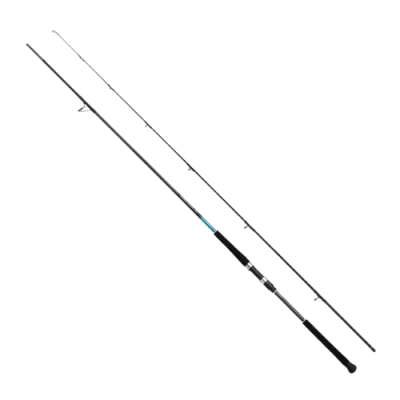 Shimano Bassterra XT 289 Cm 20-80 Gr&Shimano Saragosa SW 5000 XG Profesyonel Shore Jig Seti - 3