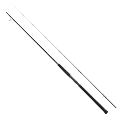 Shimano Currentsniper BB 3,05m 85g-JIG100g&Shimano Makina Saragosa 8000 SW A HG Profesyonel Shore Jig Seti - 3