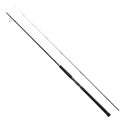 Shimano Currentsniper BB 3,05m 85g-JIG100g&Shimano Makina Saragosa 8000 SW A HG Profesyonel Shore Jig Seti - 3