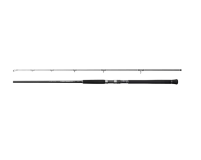 Shimano Currentsniper XR 2,95m 120g JIG150g Jig Kamışı - 1