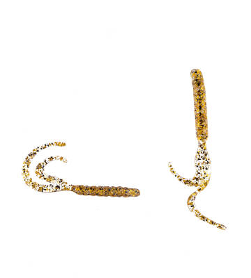 SPIINX BENDURA 9,5CM 5P GOLDEN EYE - 2