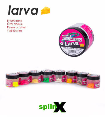 SPIINX LARVA 35MM 14P PEYNİR COFFEE 24 - 4