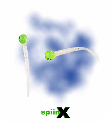 SPIINX MICE TAIL SİLİKON 8CM 12P PINEAPPLE CLEAR - 1