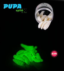 SPIINX PUPA 35MM 12P PEYNİR ALL GLOW 61 - SPIINX